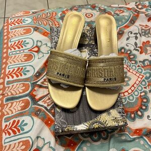 Dior Elegant Gold Slide Sandals